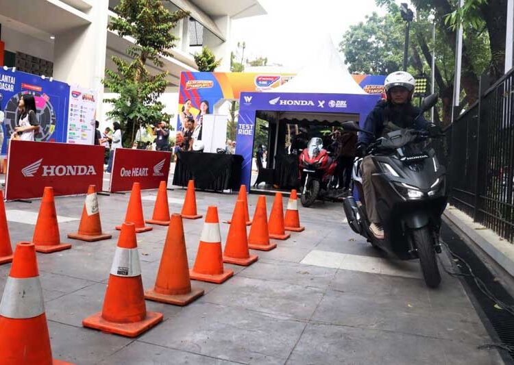 Basket Safety Riding